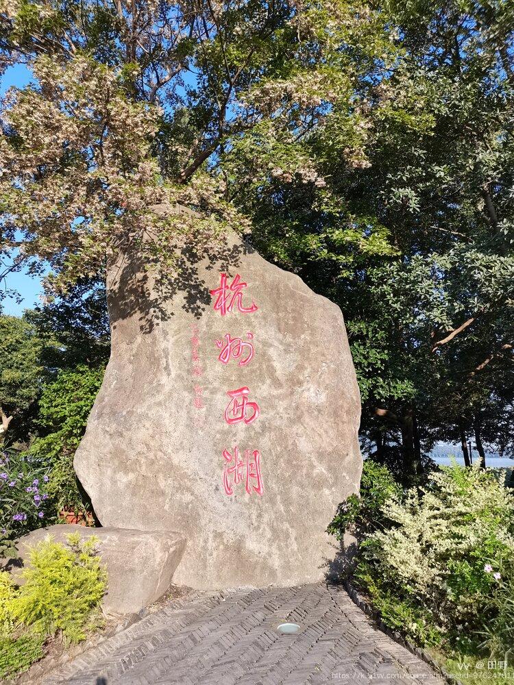 田野
