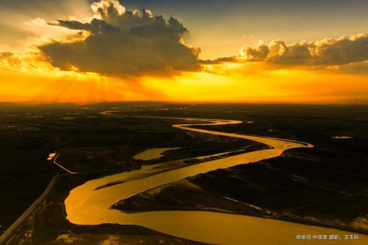 简洁朗诵黄河作者堆雪