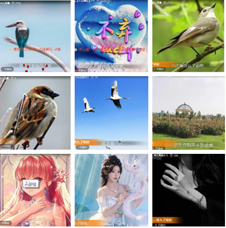 小朵🎤V娱热点