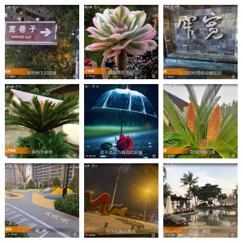 飞沙🎤V娱热点