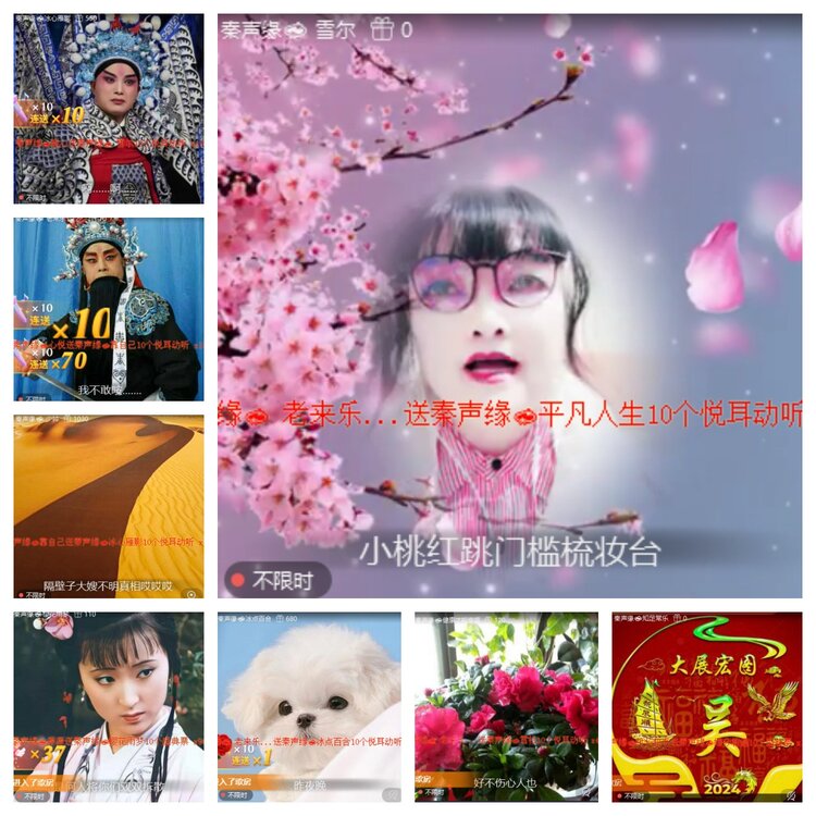 心玫🎤V娱热点