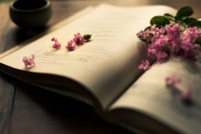 小浅🎤V娱热点