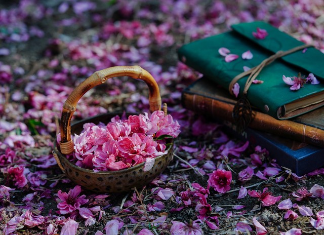 小浅🎤V娱热点