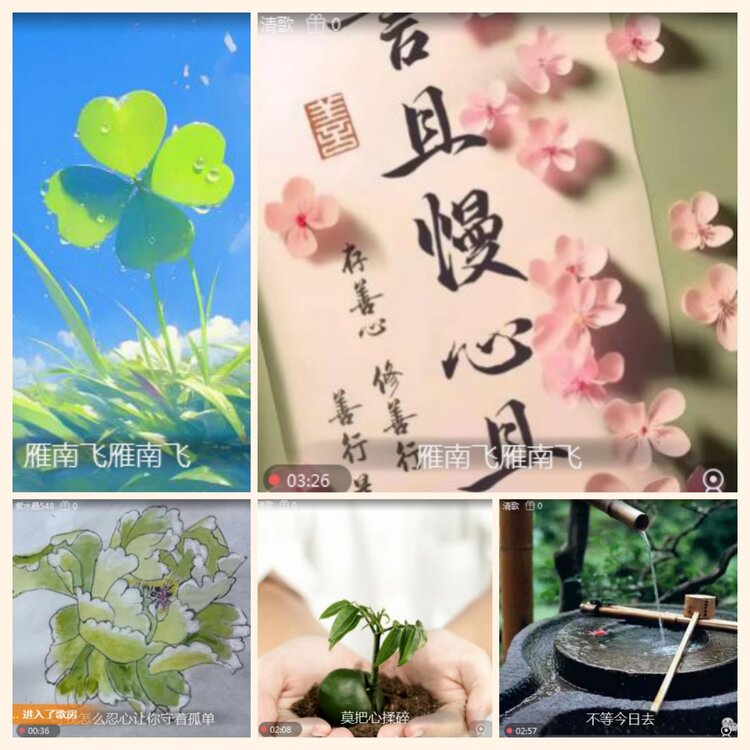 落雪🎤V娱热点