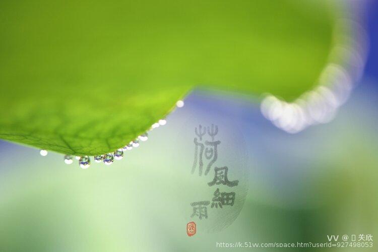 🍀 关欣