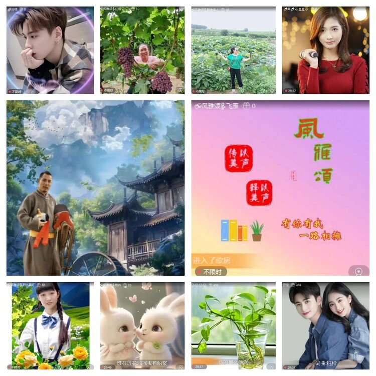 若雨🎤V娱热点