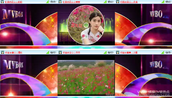橘猫🎤V娱热点