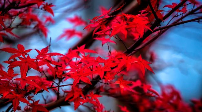 小浅🎤V娱热点