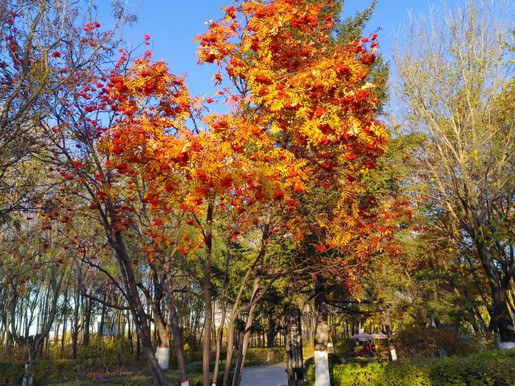 雪儿🎤V娱热点