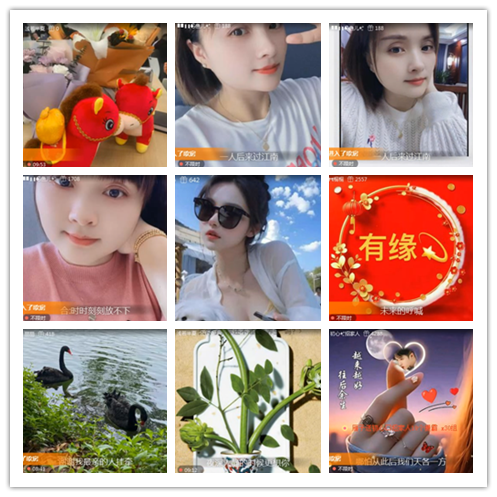 淡然🎤V娱热点