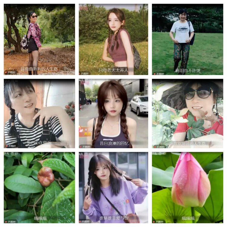 海燕🎤V娱热点