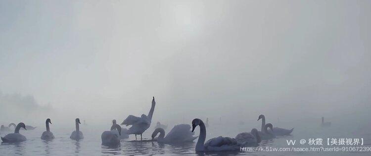 秋霞【美摄视界】