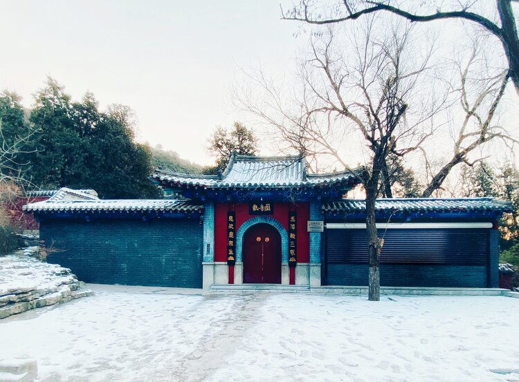 956350231橄榄树