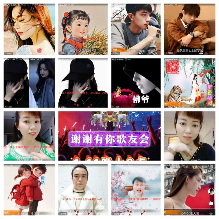 海燕🎤V娱热点