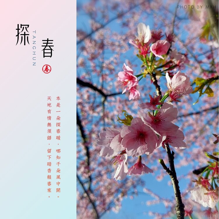 老书生【西窗剪烛】