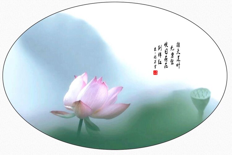 泉韵【文声汇影】