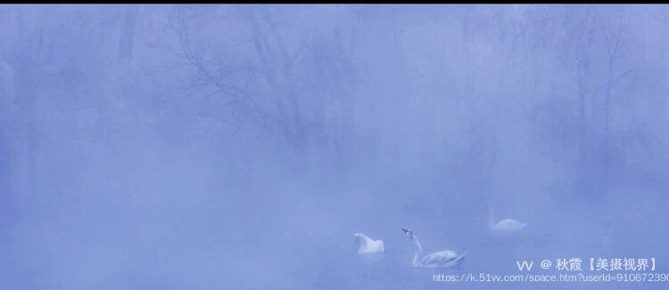 秋霞【美摄视界】