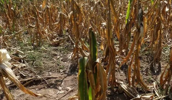 雪儿🎤V娱热点