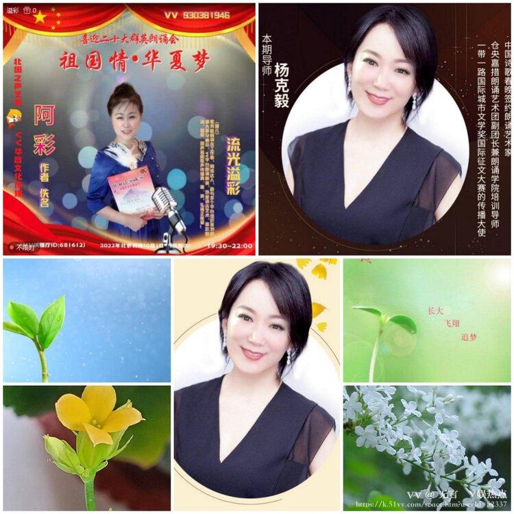 无言🎤V娱热点