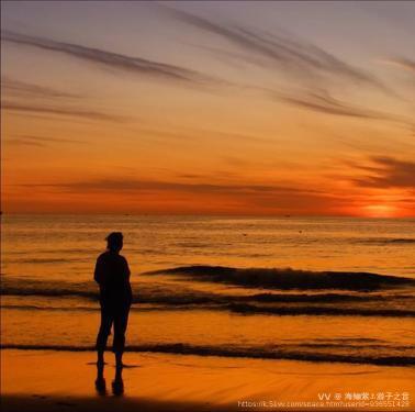 海鲡紫⚓️游子之音
