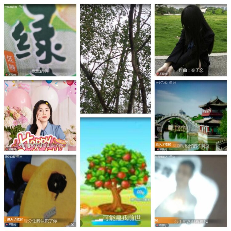 海燕🎤V娱热点