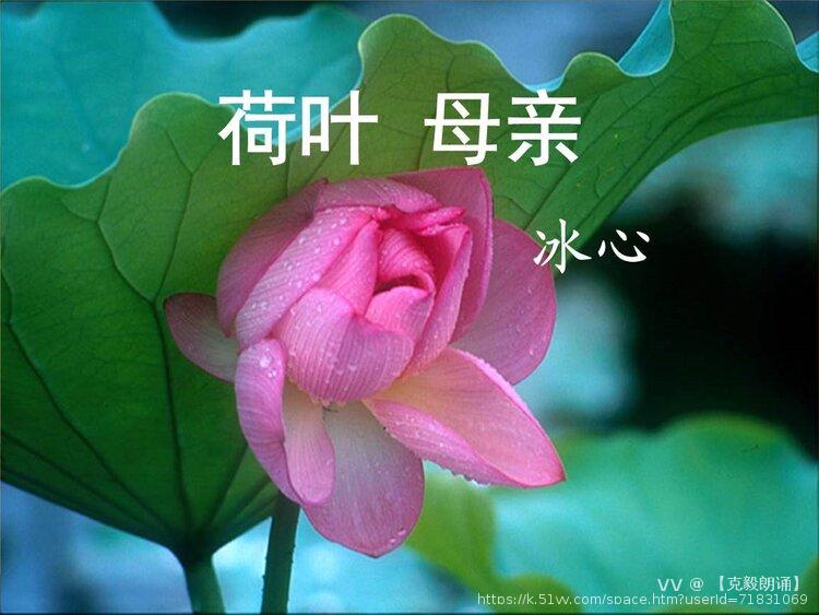 【克毅朗诵】