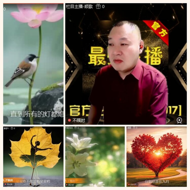 落雪🎤V娱热点