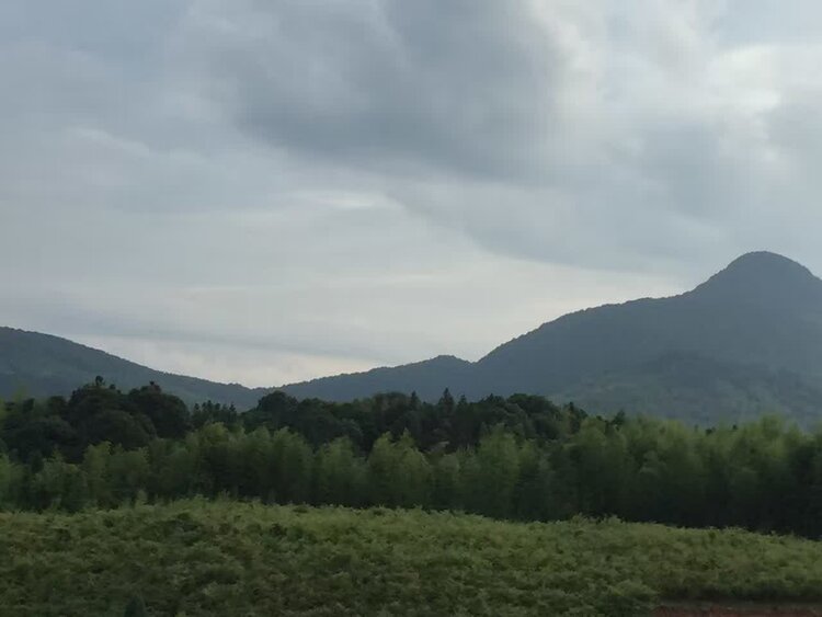 曾经🎤V娱热点