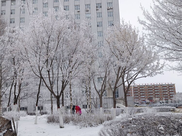 雪儿🎤V娱热点