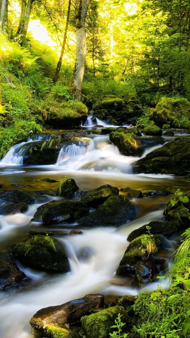 640_1136竖版 竖屏