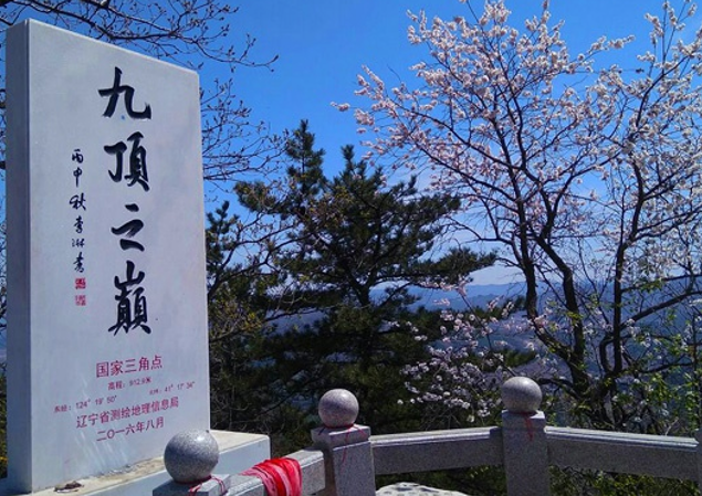 雪儿🎤V娱热点