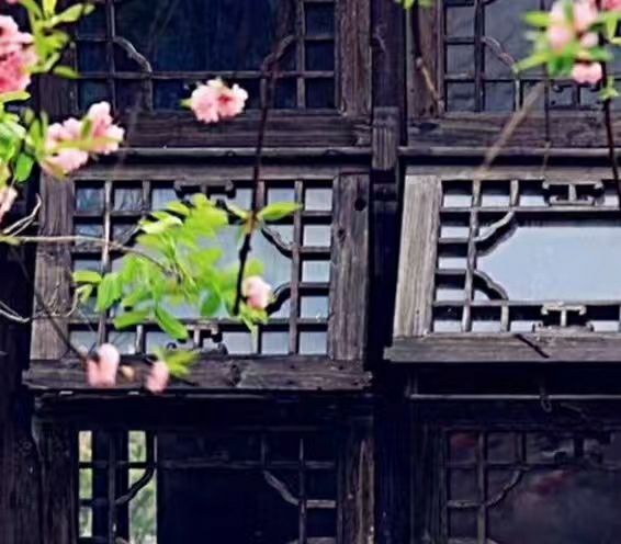 曾经🎤V娱热点