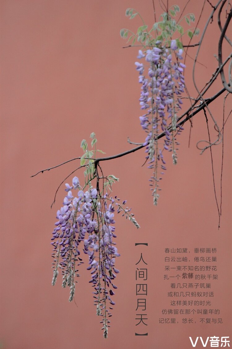 淘气包