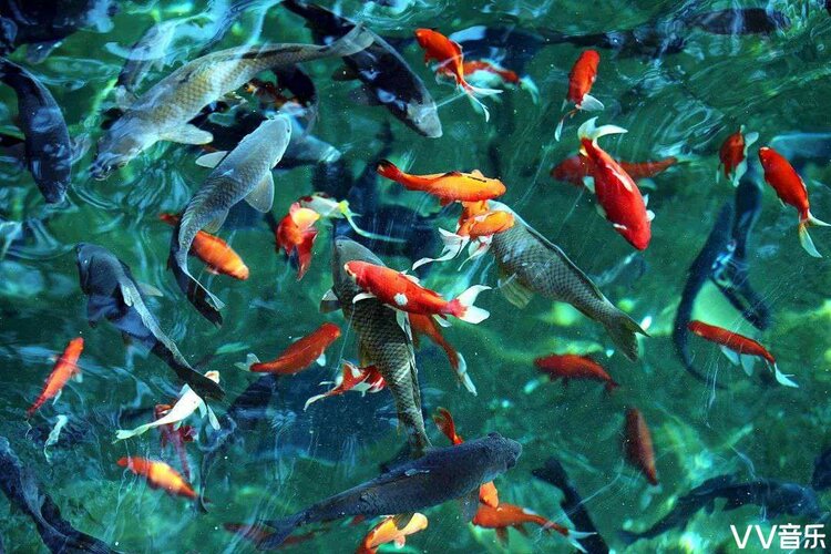 一群【美摄视界】