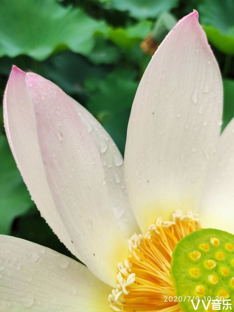 云中的雨
