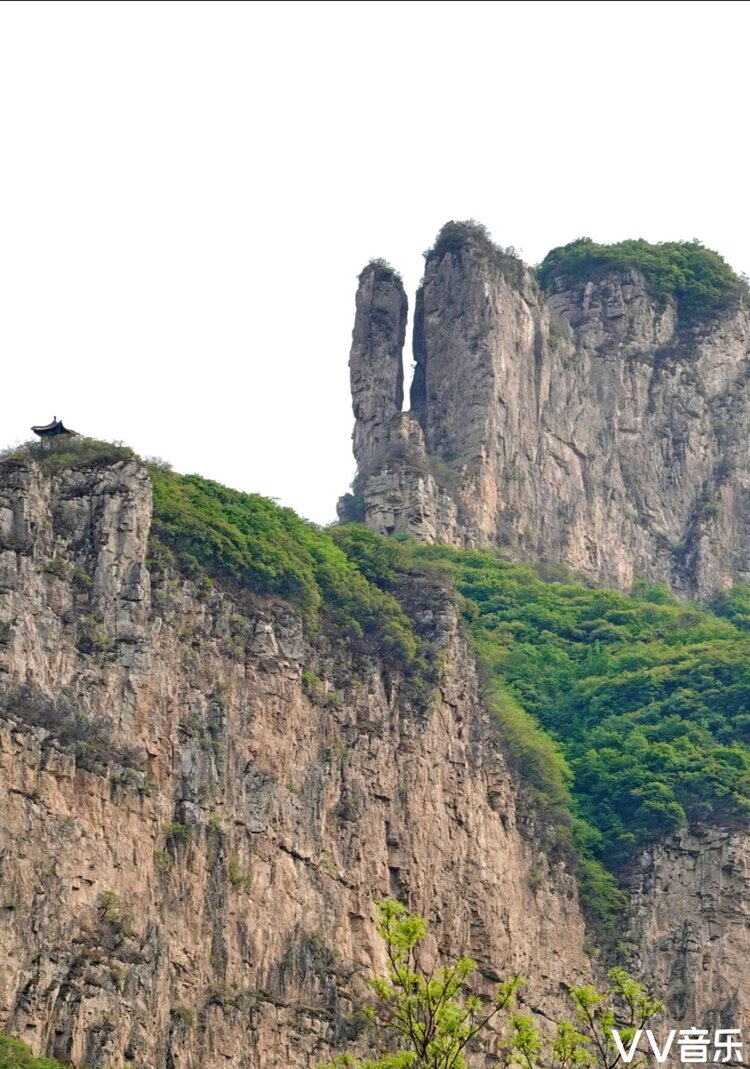 逍客