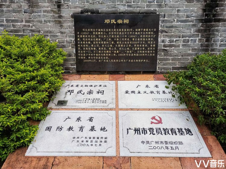 向阳红花