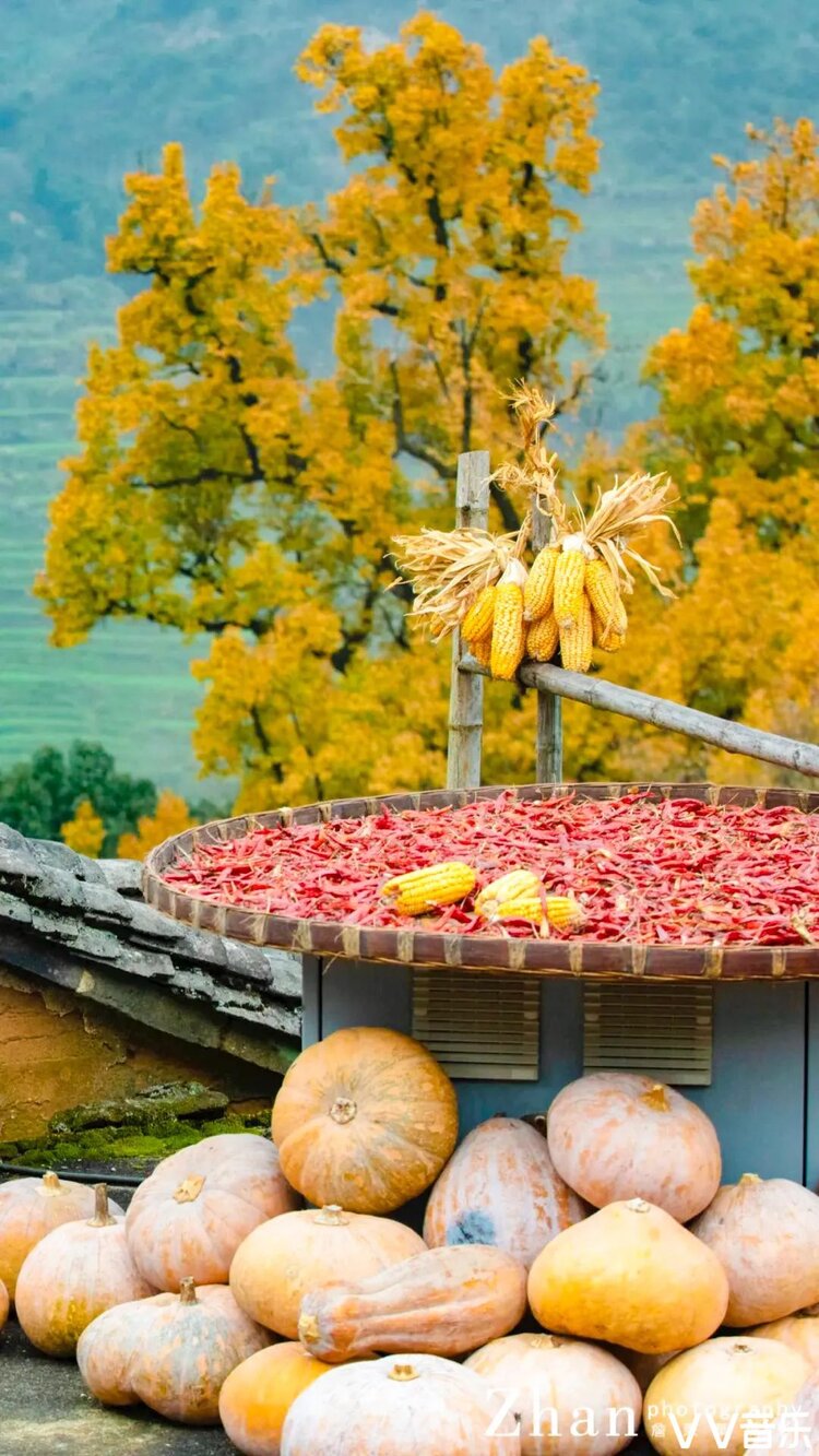 同同•馨馨【美摄视界】