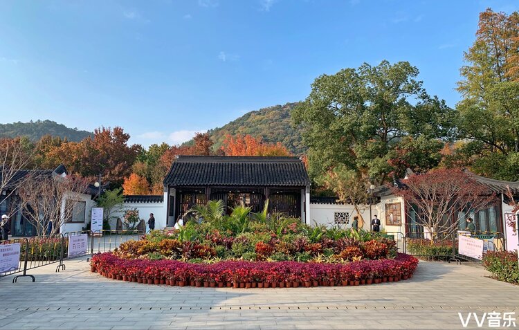 王雪峰（山东）