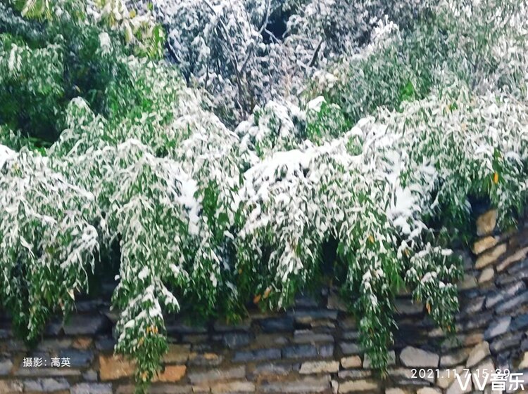 泠风思语