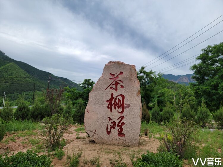 桥