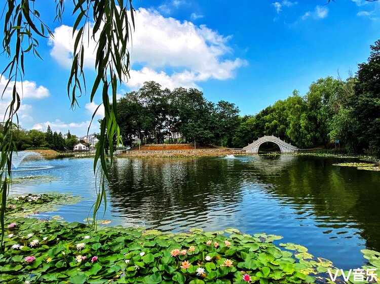 醉美定远花园湖(二)