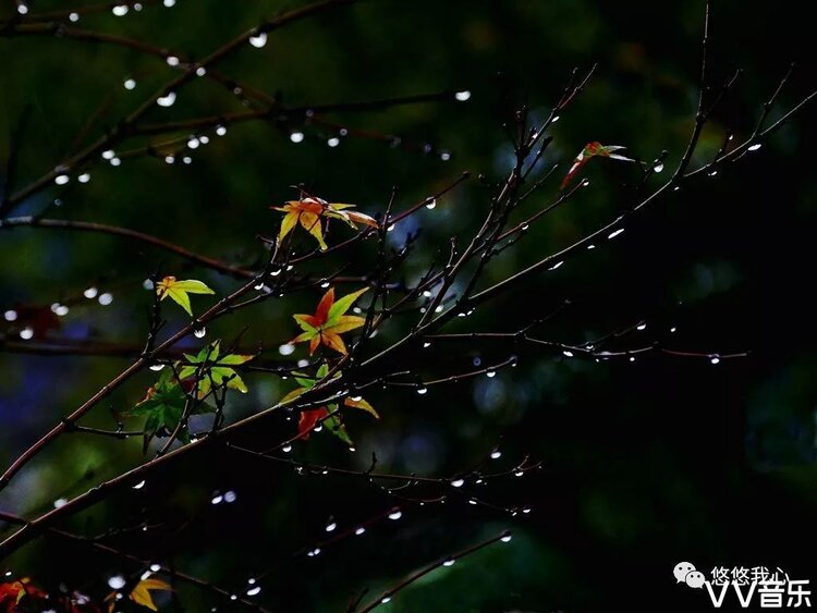 秋夜有份相思的牵挂