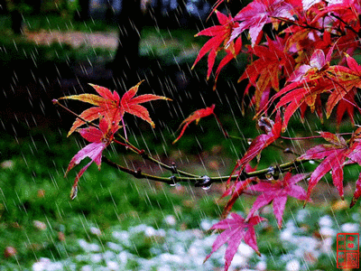 秋雨寒·一往情情深几许?文/老甄图/网络音/秋雨2021.9.