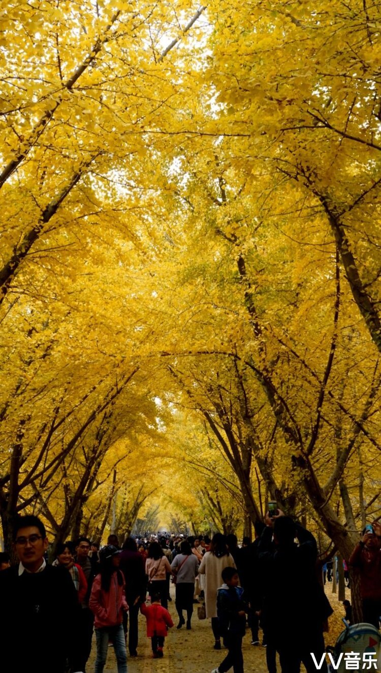 邳州时光隧道