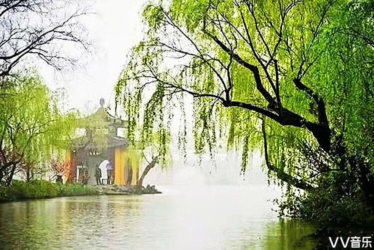 柳一弯腰就垂下了春天