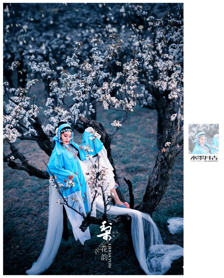 梨花颂春格律诗4首1