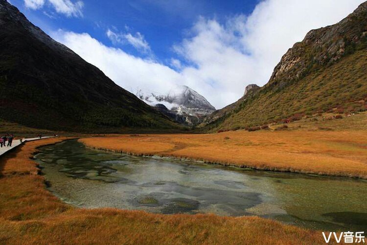 蓝鸟在飞【西部诗坛】族长