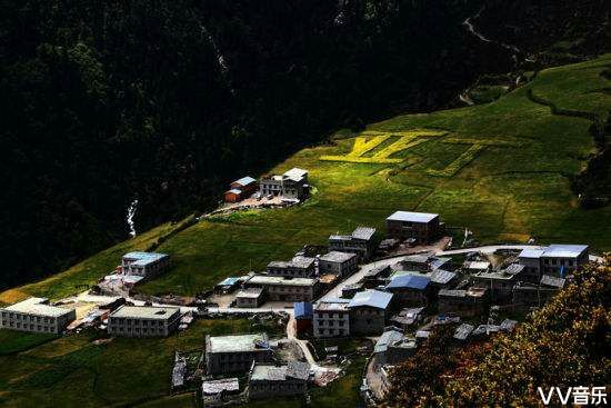 蓝鸟在飞【西部诗坛】族长