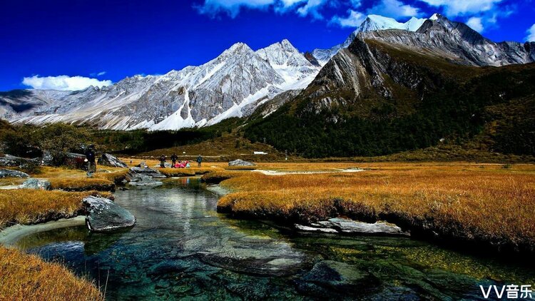 蓝鸟在飞【西部诗坛】族长